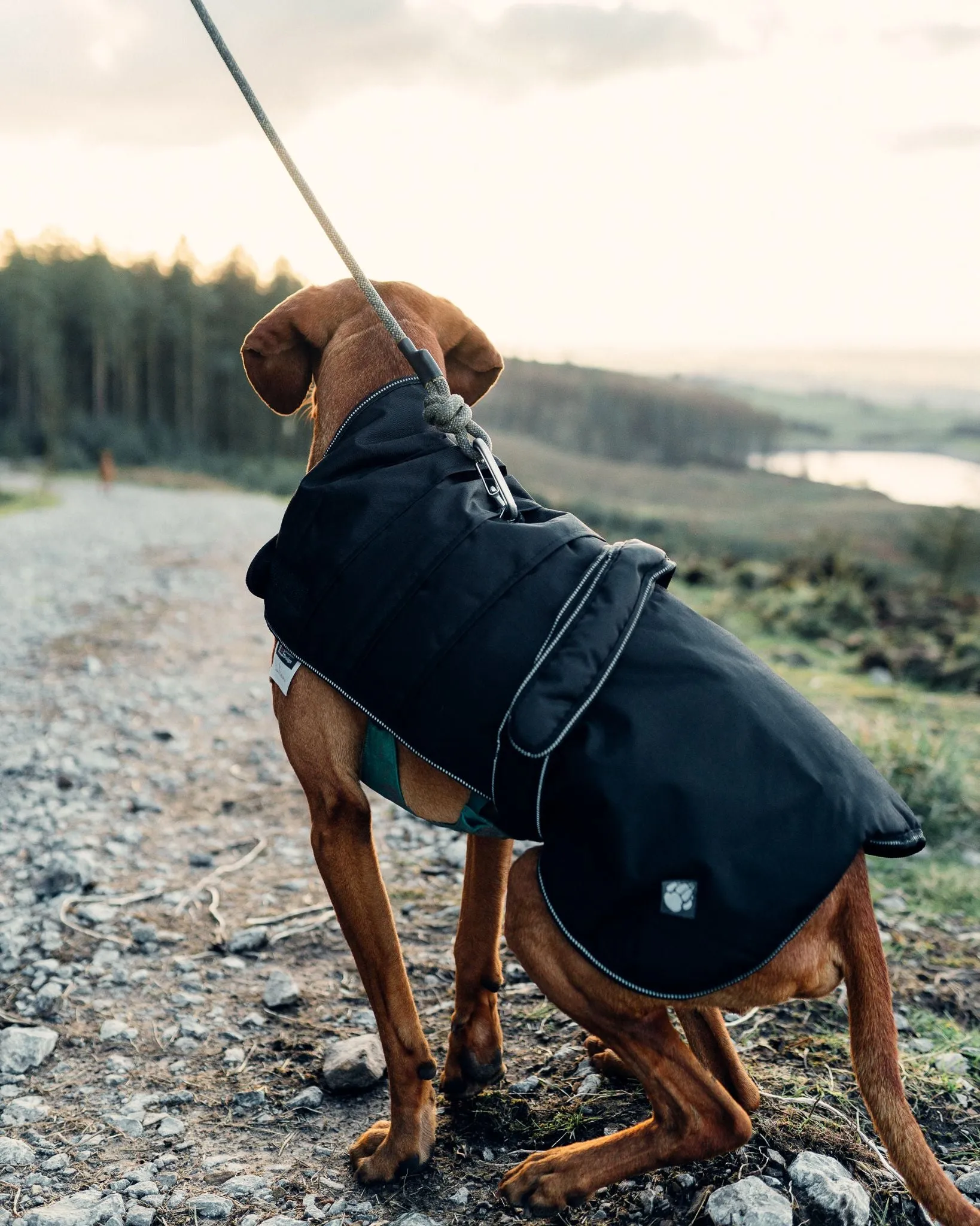 Danish Design Harness Dog Coat