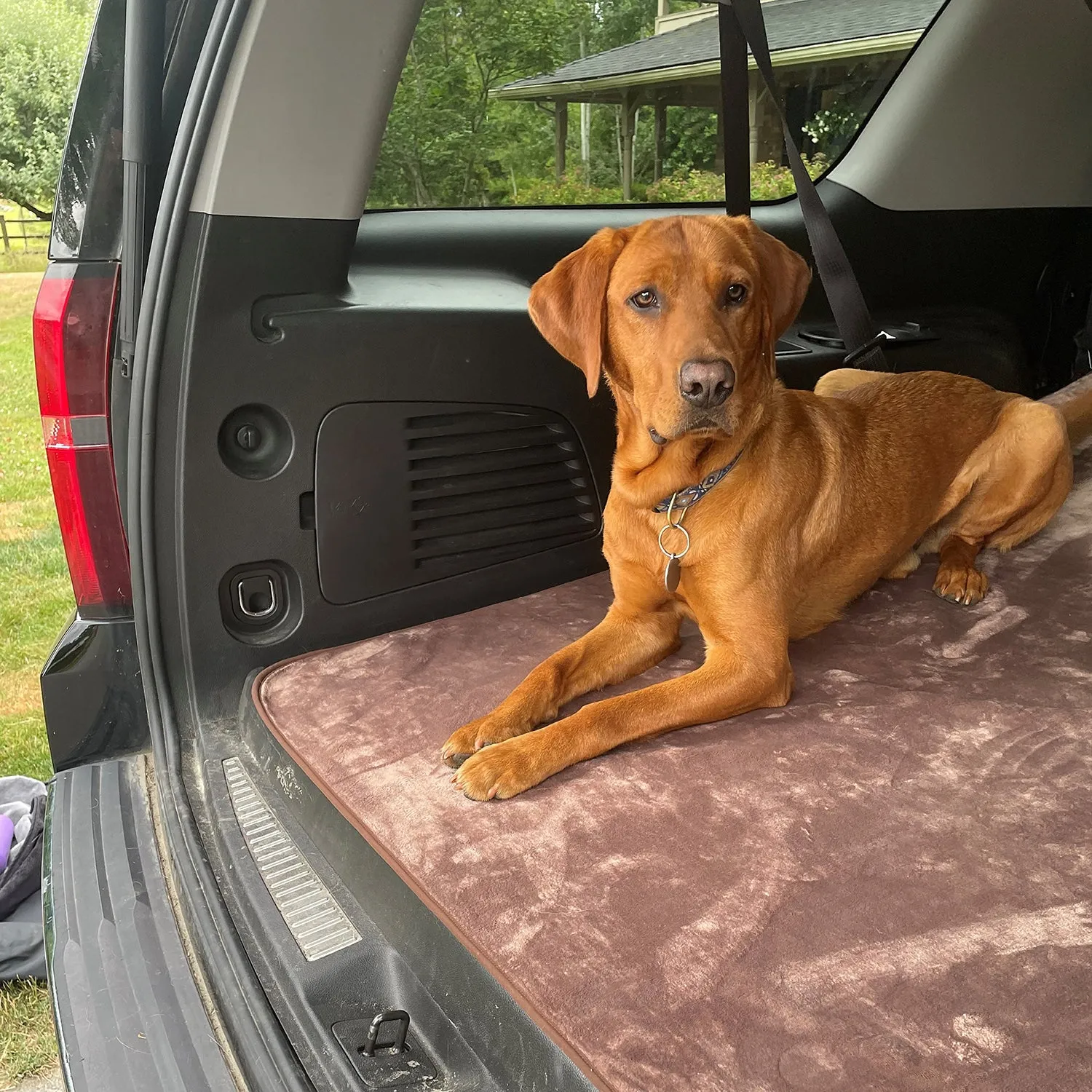 Non-Slip Pet Blanket