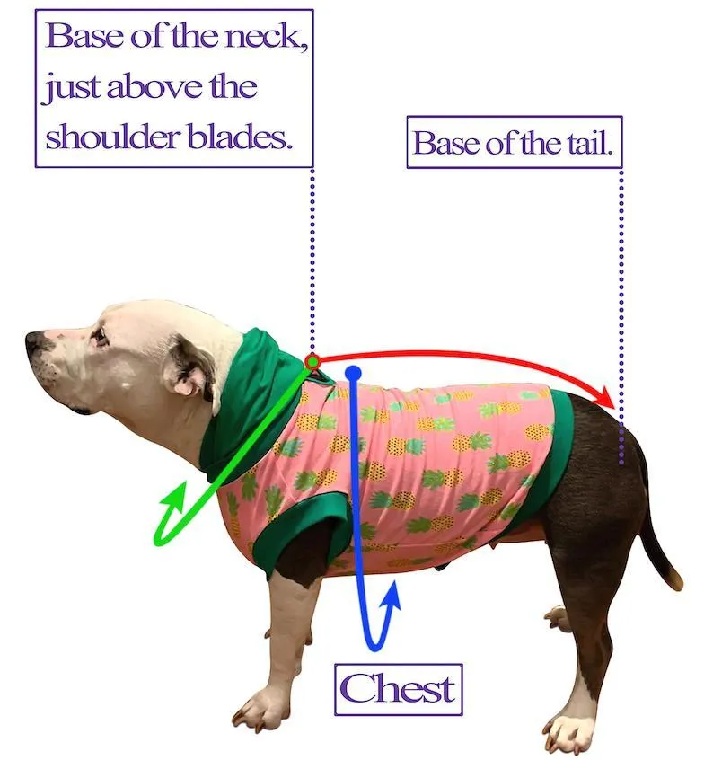 Pittie Pot O’ Gold Green - PAWjama with Black Neck & Trim/Sleeves