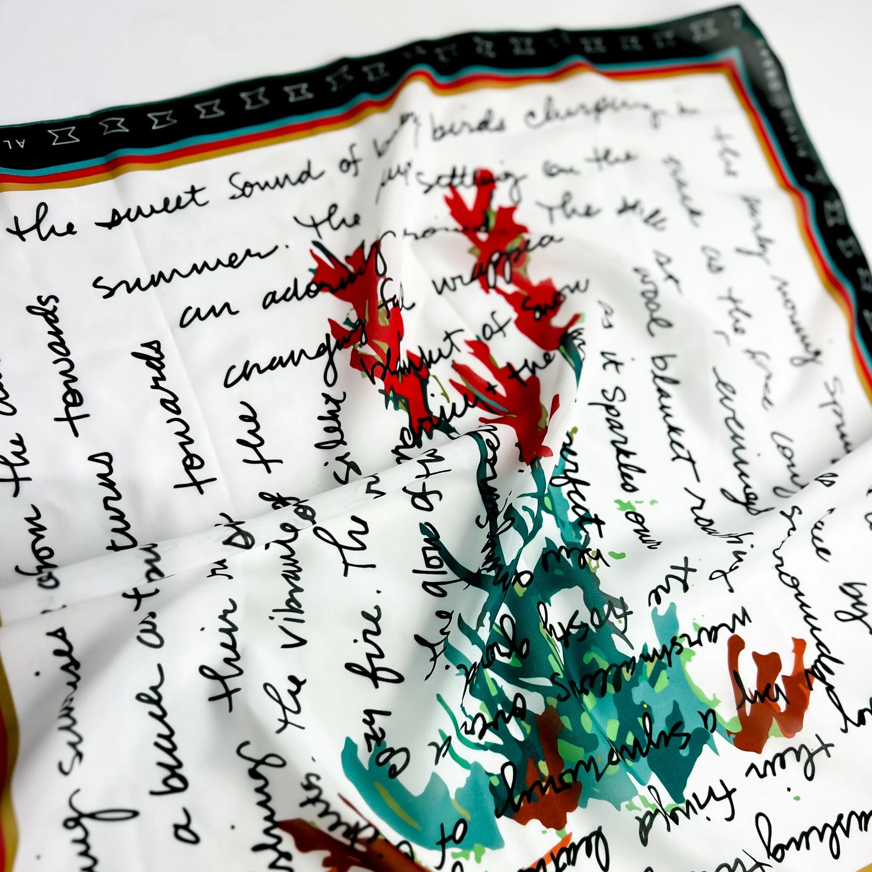 Scarf | Indian Paintbrush